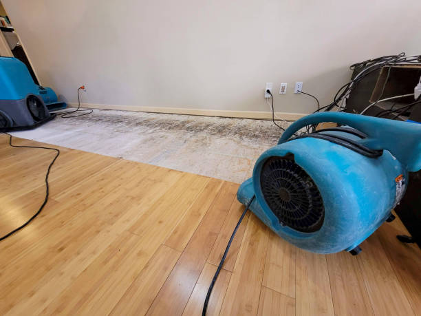 Professional Water Damage Repair technician working in Newport, NC